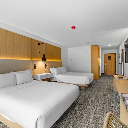 מק'קול The Evergreen Hotel מראה חיצוני תמונה